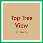 Top Tree View Logo