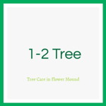 1-2 Tree Logo