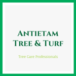 Antietam Tree & Turf Logo