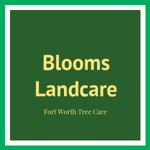 Blooms Landcare Logo