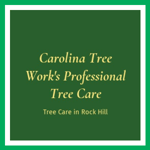 Carolina Tree Work's Professional Tree Care Logo