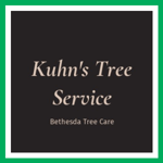 Kuhn's Tree Service Logo