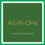 All-N-One Logo