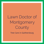 Lawn Doctor of Montgomery County Logo