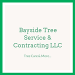 Bayside Tree Service & Contracting LLC Logo