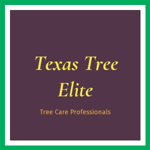 Texas Tree Elite Logo