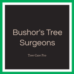 Bushor's Tree Surgeons Logo
