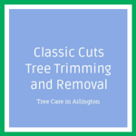 Classic Cuts Tree Trimming and Removal Logo