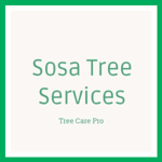 Sosa Tree Services Logo