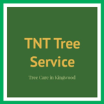 TNT Tree Service Logo