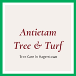 Antietam Tree &amp; Turf Logo