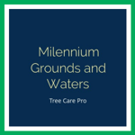 Milennium Grounds and Waters Logo