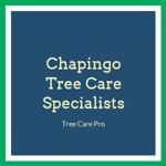 Chapingo Tree Care Specialists Logo