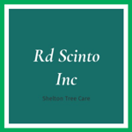 Rd Scinto Inc Logo