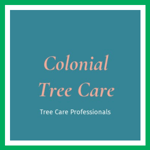 Colonial Tree Care Logo