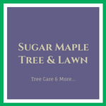 Sugar Maple Tree & Lawn Logo