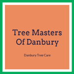 Tree Masters Of Danbury Logo
