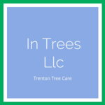 In Trees Llc Logo