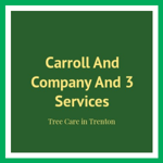 Carroll And Company And 3 Services Logo
