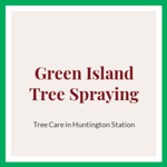 Green Island Tree Spraying Logo