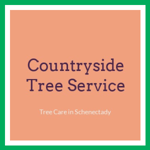 Countryside Tree Service Logo