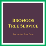 Brongos Tree Service Logo