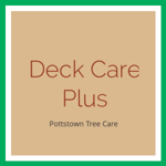 Deck Care Plus Logo