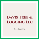 Davis Tree & Logging Llc Logo