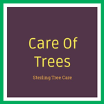 Care Of Trees Logo