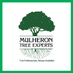 Mulheron Tree Experts Inc Logo