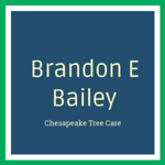Brandon E Bailey Logo