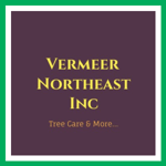 Vermeer Northeast Inc Logo