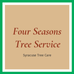 Four Seasons Tree Service Logo