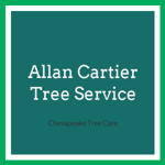 Allan Cartier Tree Service Logo