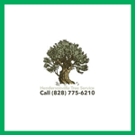 Hendersonville Tree Service Logo