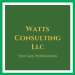 Watts Consulting Llc Logo