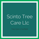 Scinto Tree Care Llc Logo