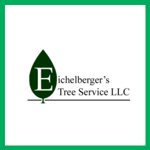 Dale Eichelberger Logo