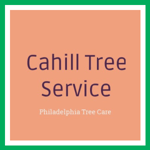 Cahill Tree Service Logo