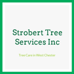 Strobert Tree Services Inc Logo