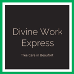 Divine Work Express Logo