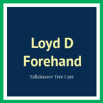 Loyd D Forehand Logo