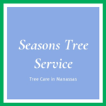 Seasons Tree Service Logo