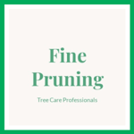 Fine Pruning Logo
