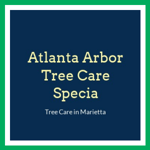 Atlanta Arbor Tree Care Specia Logo