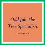 Odd Job The Tree Specialists Logo