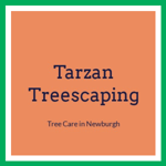 Tarzan Treescaping Logo