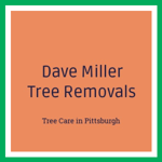 Dave Miller Tree Removals Logo