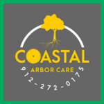 Coastal Arbor Care Llc Logo