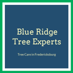 Blue Ridge Tree Experts Logo